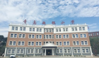 超銀小學(xué)啦啦隊的校運會表演與教育實業(yè)的投資價值